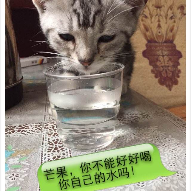 怎么购买国民保险卡